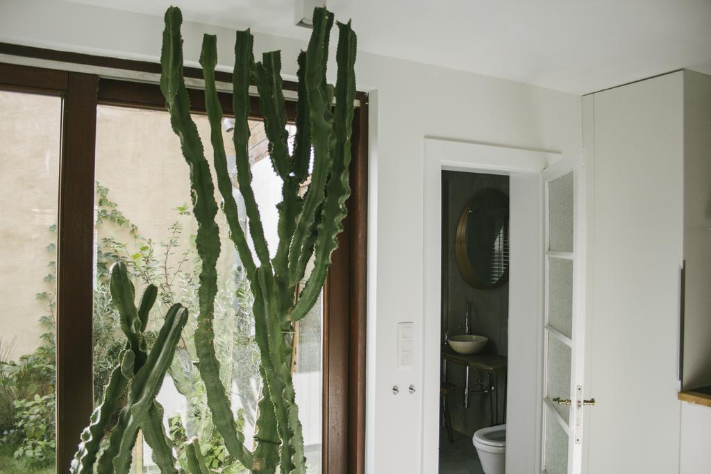 ברוז' Csar Private Guesthouse מראה חיצוני תמונה
